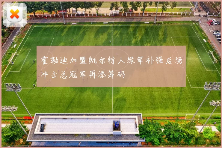 霍勒迪加盟凯尔特人绿军补强后场冲击总冠军再添筹码