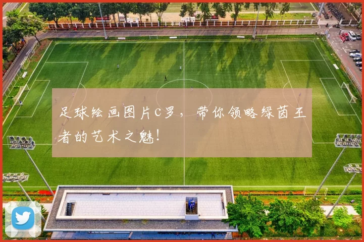 足球绘画图片c罗,带你领略绿茵王者的艺术之魅!
