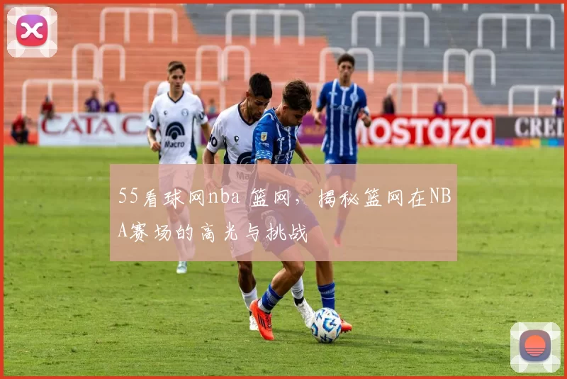 55看球网nba 篮网，揭秘篮网在NBA赛场的高光与挑战