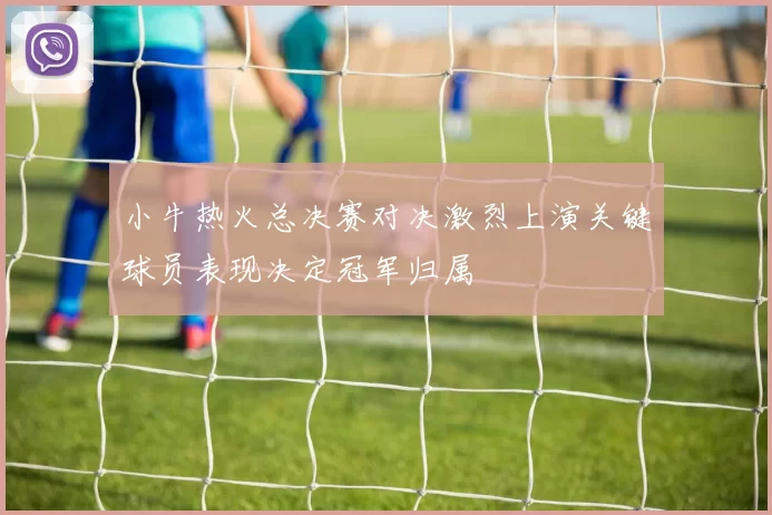 小牛热火总决赛对决激烈上演关键球员表现决定冠军归属