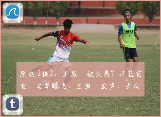 原创 2换2，王岚嵚被交易？辽篮官宣，名单曝光，王岚嵚发声，去向曝光