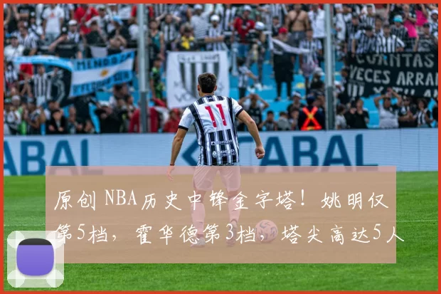 原创 NBA历史中锋金字塔!姚明仅第5档,霍华德第3档,塔尖高达5人