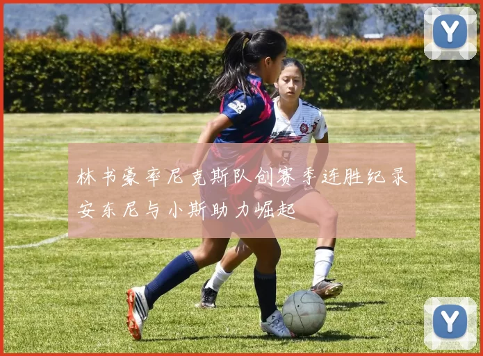 林书豪率尼克斯队创赛季连胜纪录安东尼与小斯助力崛起