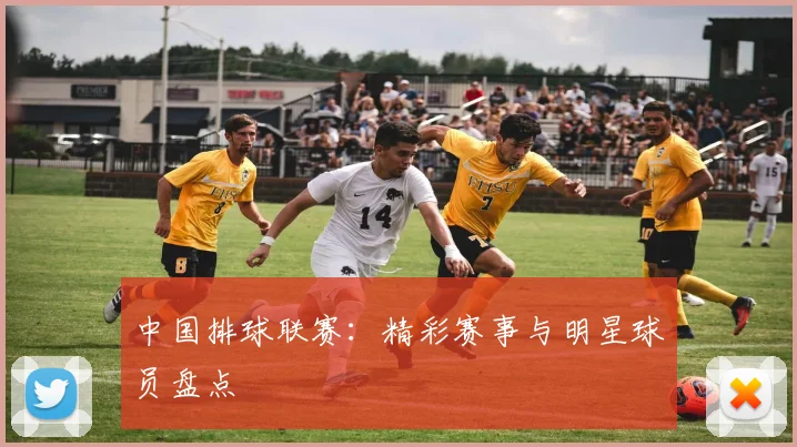 中国排球联赛：精彩赛事与明星球员盘点